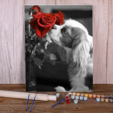 Paint By Number Bailey Dogs