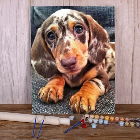 Paint By Number Dogs Charlie