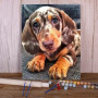 Paint By Number Dogs Charlie