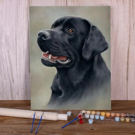 Paint By Number Dogs Lucy