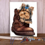 Paint By Number Cooper Dogs
