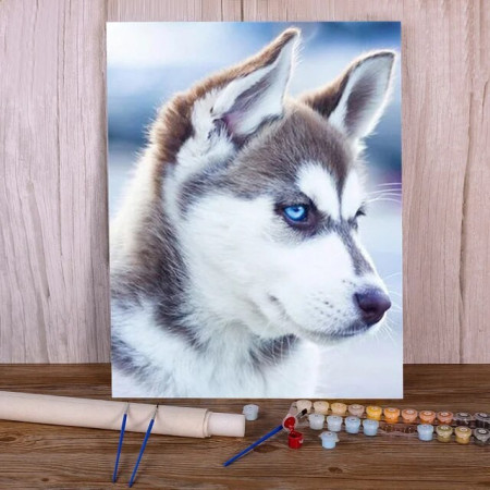Paint By Number Dogs Molly
