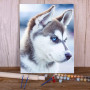 Paint By Number Dogs Molly