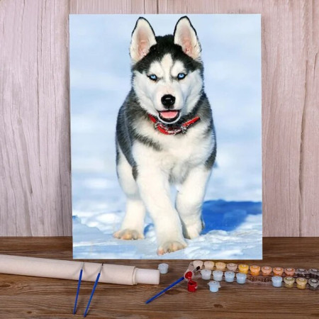 Paint By Number Dogs Duke