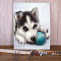 Paint By Number Dogs Chloe