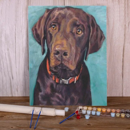 Paint By Number Dogs Oliver