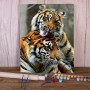 Painting by Numbers Tigers Cuddling Powerful Wild Animals Striking Realism