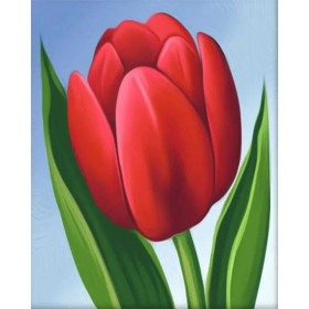 Romantic Tulips Paint by Numbers | Complete Beginner Kit