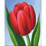Romantic Tulips Paint by Numbers | Complete Beginner Kit