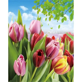 Painting by Numbers Multicolored Tulips | Adult Creative Hobby