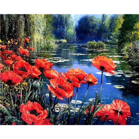 Paint by Number Poppies and Cornflowers | Harmony of the Fields