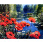 Paint by Number Poppies and Cornflowers | Harmony of the Fields