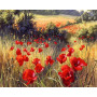 Paint by Number Wild Poppies | Scarlet Liberty