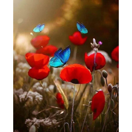 Paint by Number Poppies and Butterflies | Spring Waltz