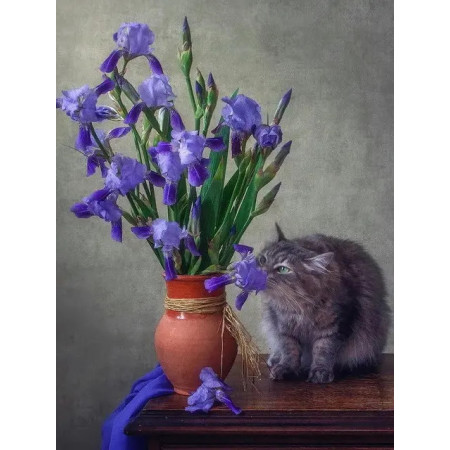 Persian Cat and Iris Paint by Number Kit | Easy and Relaxing DIY Painting