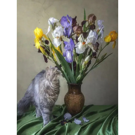 Paint by Number Dreamy Persian Cat and Multicolored Irises | Poetic and Inspiring DIY Painting