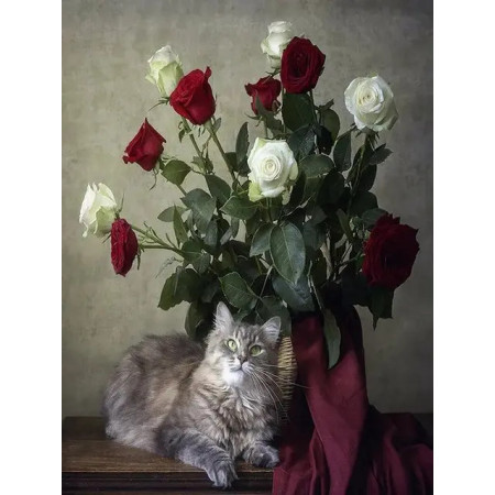 Paint by Number Dreamy Cat and Bouquet of Red Roses