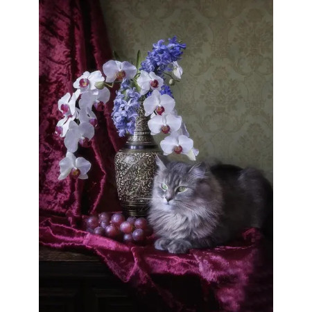 Persian Cat and Blue Orchids Paint by Numbers
