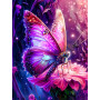Paint by Number Kit "Fairy Butterfly" - Magic Numbers Board