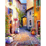 Painting by Numbers "Flowery Alley in the South of France"