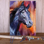 Painting by Numbers Portrait Black Horse Flamboyant Temperament