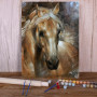 Paint by Numbers Portrait of Soothing Palomino Stallion