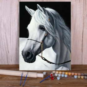 Majestic White Andalusian - Paint by Numbers Pure Elegance