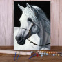 Majestic White Andalusian - Paint by Numbers Pure Elegance
