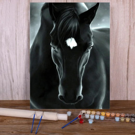 Mystical Black Horse - Paint by Numbers Dark Aura