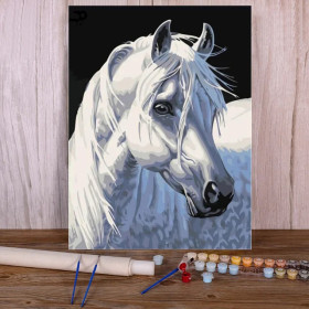 Pearly Horse - Paint by Numbers Vaporous Grace