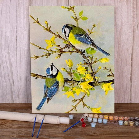 Paint by Numbers Birds - Tits on Flowering Branch