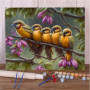 Paint by Numbers Birds - Charming Family Warbler