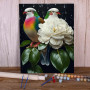 Paint by Numbers Multicolored Birds and White Peony