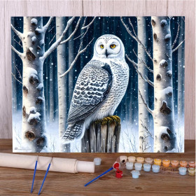 Paint by Numbers Winter Snow Owl