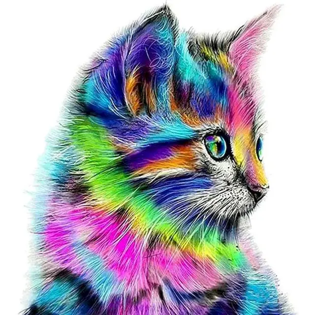 Paint by Number Rainbow Cat