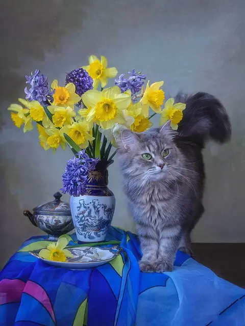 Paint by Number Curious Persian Cat and Spring Bouquet