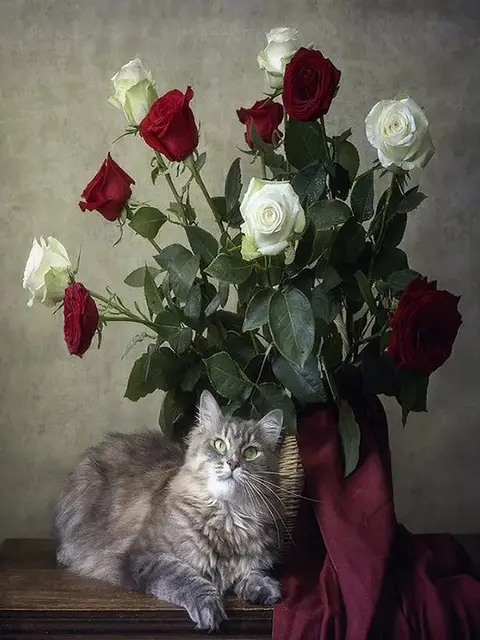 Paint by Number Dreamy Cat and Bouquet of Red Roses