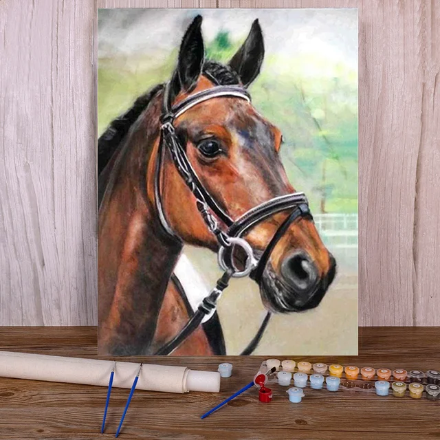Paint by Numbers Portrait Horse Dressage Detailed