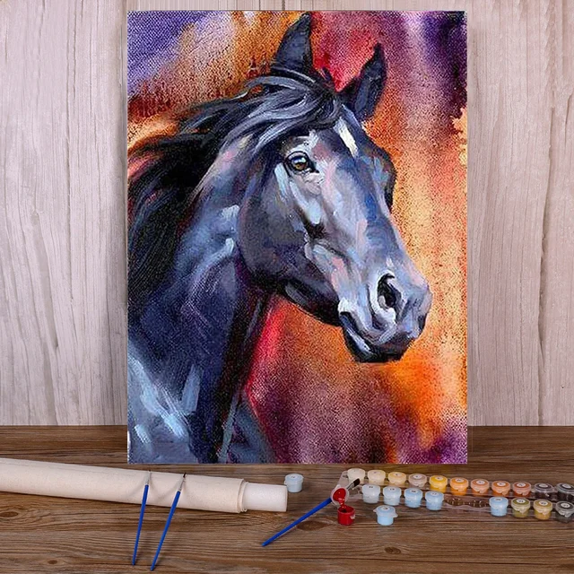 Painting by Numbers Portrait Black Horse Flamboyant Temperament