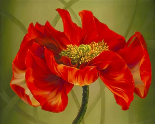 Paint by number Impressionist Poppies